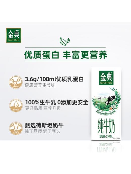 伊利金典纯牛奶 250ml*12盒/件 商品图2
