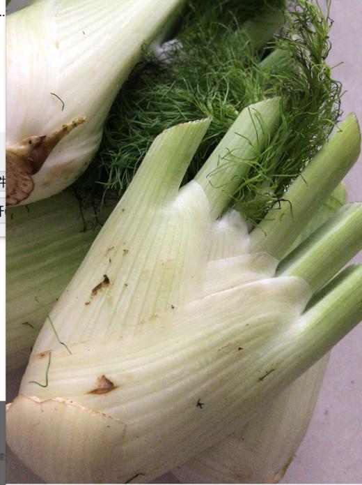 生态球茎茴香 | 绿家自产*In-House Production| Ecological Fennel bulbs 商品图0