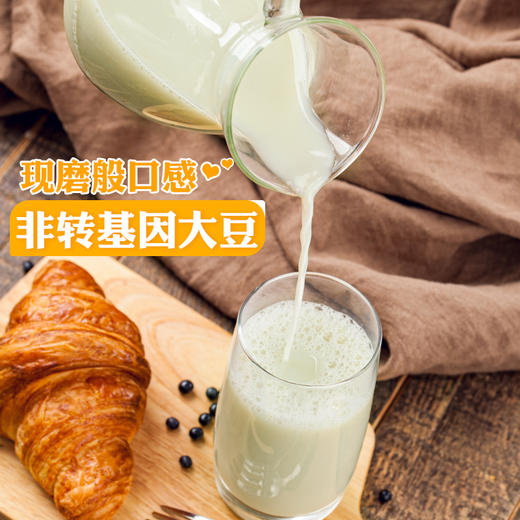 (散)龙王豆浆粉原味，甜味30g 商品图6