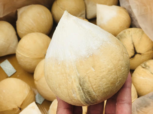 泰国🇹🇭老树椰皇🌴——精选老树果，椰汁香甜醇厚 商品图8