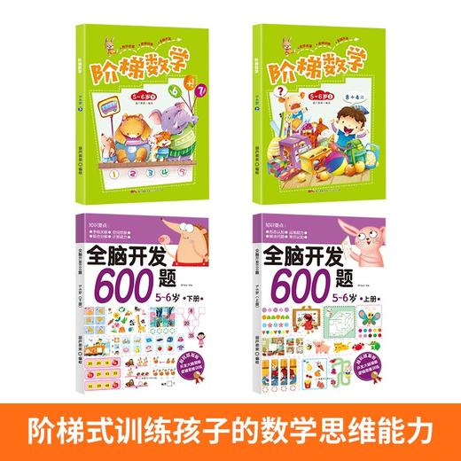 【青葫芦】全脑开发600题：5-6岁+阶梯数学：5-6岁【共4册】 幼小衔接 3-6岁 HL智力开发，通过有趣的思维游戏全面系统地开发孩子的大脑潜能 商品图1