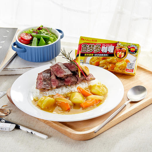 好侍百梦多咖喱（微辣）100g 商品图3