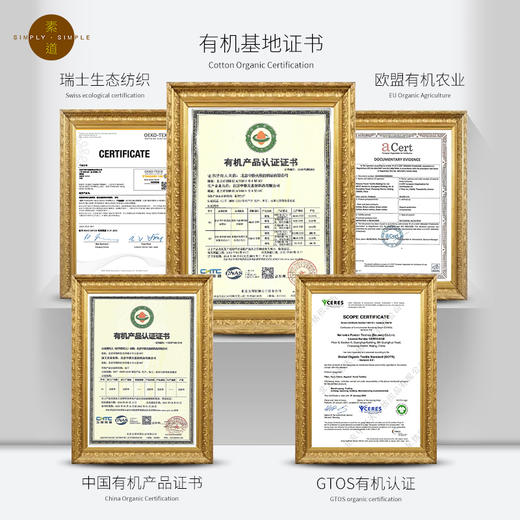 2双装有机彩棉夏季船袜 情侣运动短袜 吸汗透气彩棉袜【基地直发】 商品图3