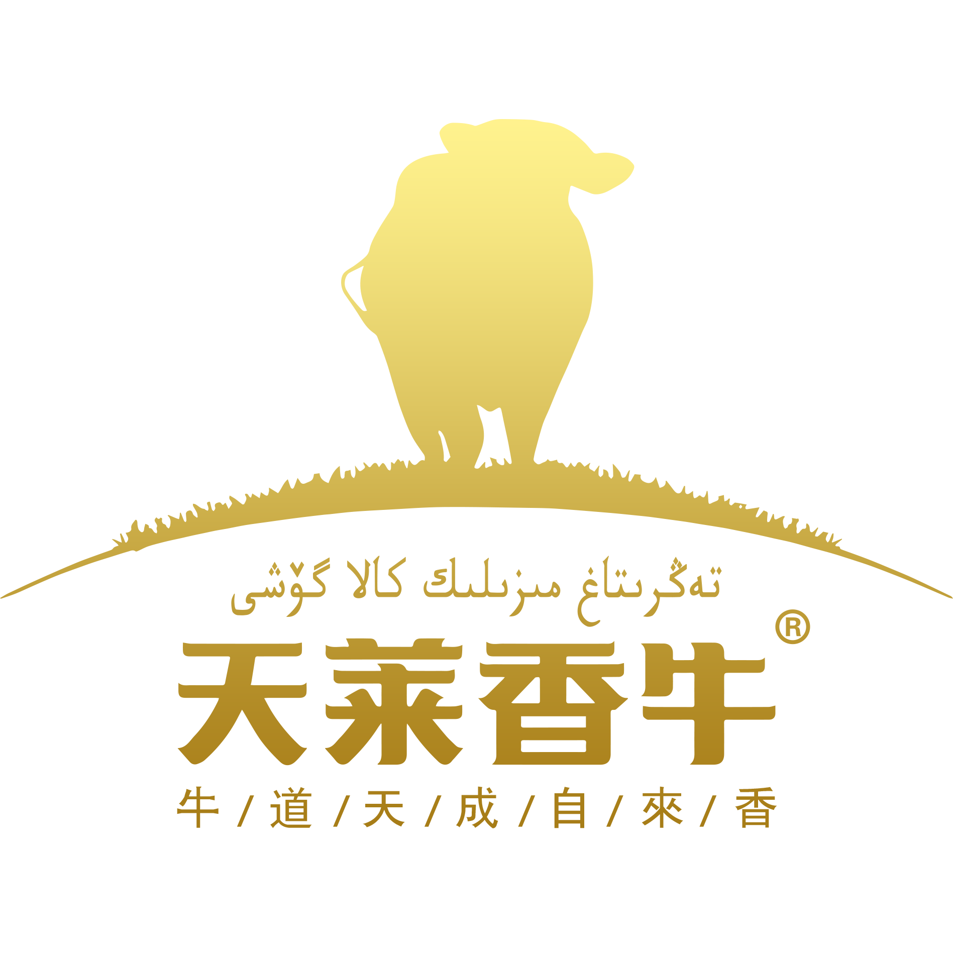 店铺logo