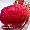 【预售】🇯🇵宫崎太阳之子芒果——真正的瓜熟蒂落，果肉柔软，细腻且多汁。 商品缩略图9