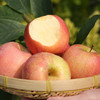 【快递停发，2月26日陆续发货】【陕西·洛川】正宗陕西洛川红富士苹果 脆甜冰糖心丑红苹果 新鲜水果 商品缩略图2