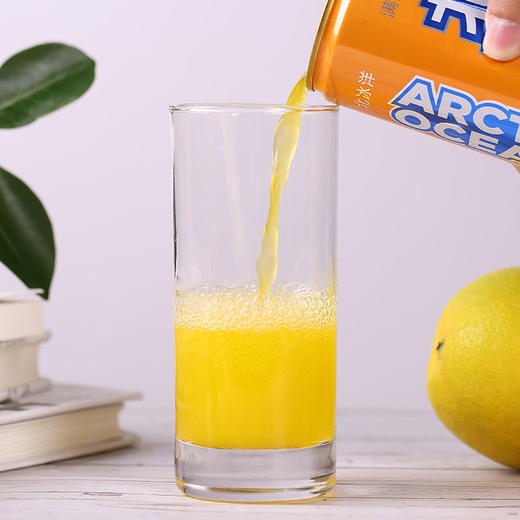 北冰洋橙汁汽水330ml（8A)(Z) 商品图6