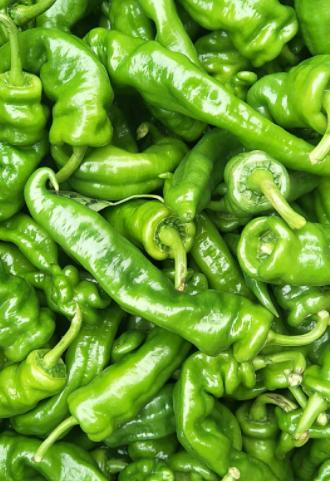 105螺丝椒250克 商品图0