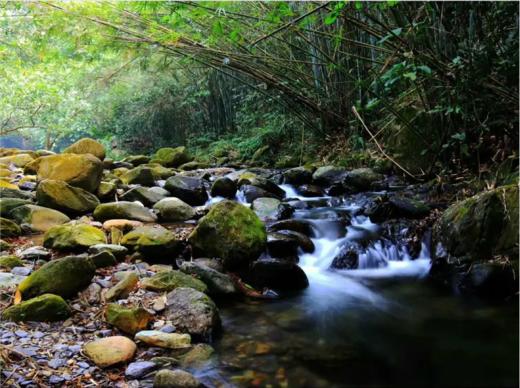 8.14【肇庆】七星岩•人间仙境紫云谷慢门流水创作2天 商品图0