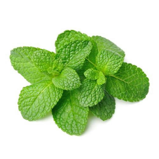 【生鲜预定】薄荷1Kg 商品图0