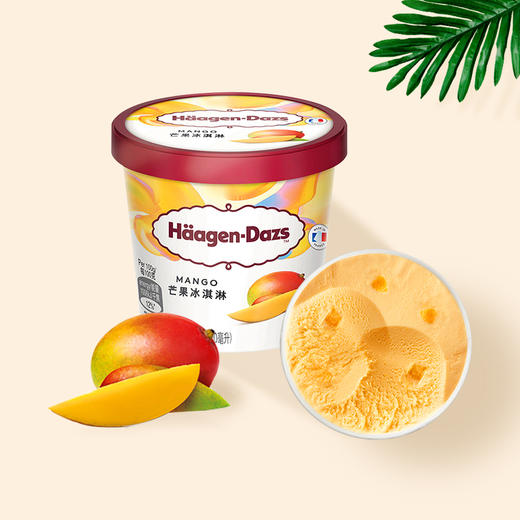 哈根达斯冰淇淋芒果味81g(100ml) 商品图0