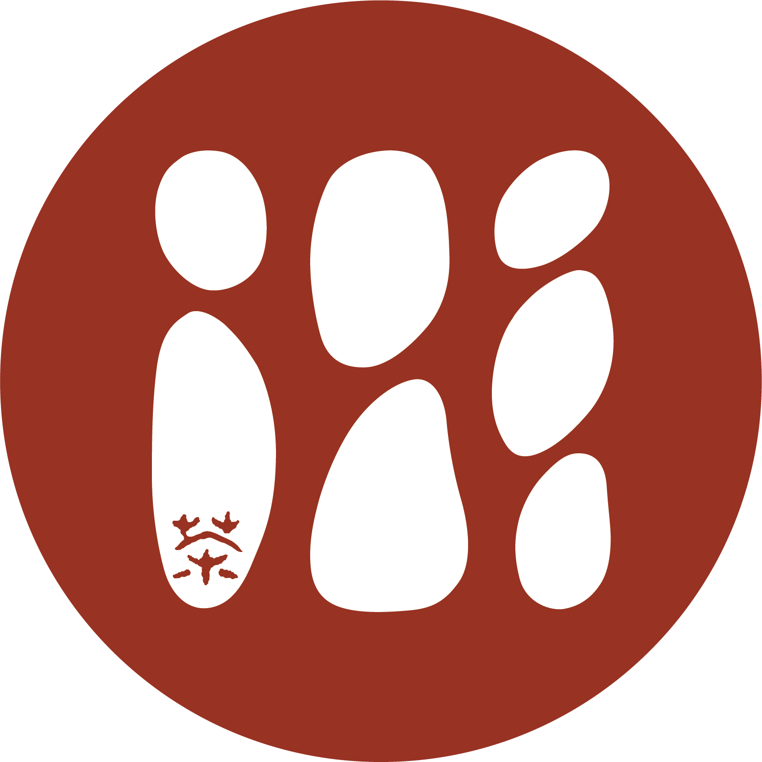 北路白茶馆250505