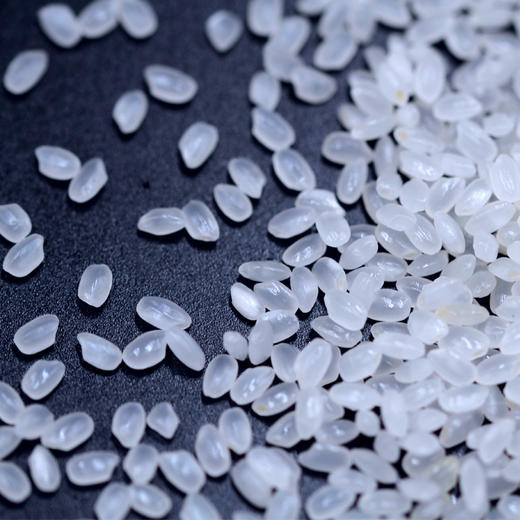 溢田东北大米珍珠米圆粒米5kg【厂家直供】 商品图3