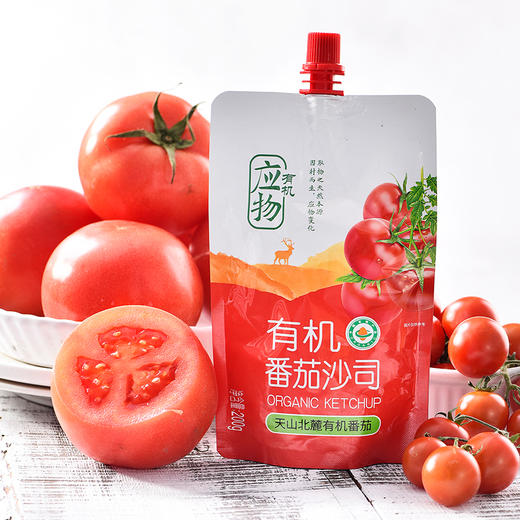 有机番茄酱番茄沙司 商品图0