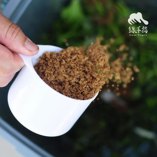 园艺·堆肥桶 | 公平贸易 * Compost bucket | Fair-Trade 商品图4