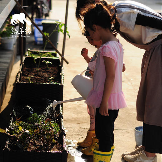 园艺·种植箱 | 公平贸易*Planting box | Fair-Trade 商品图1