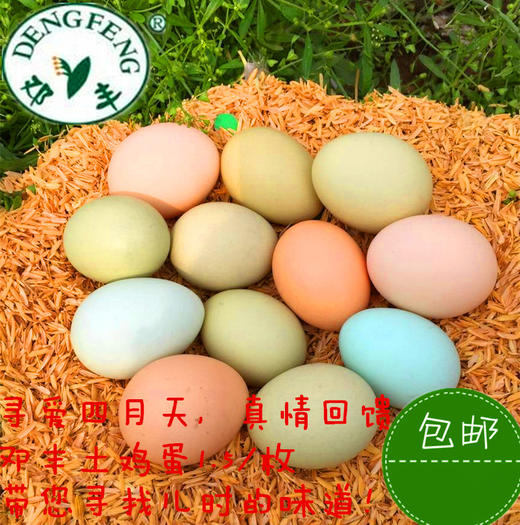 【武汉.汉南】江城百臻汉南土鸡蛋30枚（新老包装随机发货） 商品图4