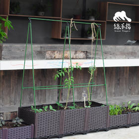 园艺·瓜豆支架 | 公平贸易 * Fruit bracket | Fair-Trade