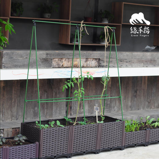 园艺·瓜豆支架 | 公平贸易 * Fruit bracket | Fair-Trade 商品图0