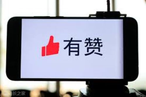 有赞代理的价格是多少？有赞是什么？