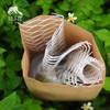 园艺·蚕宝宝饲养套装（桑叶） | 公平贸易 * Silkworm rearing kit | Fair-Trade 商品缩略图4
