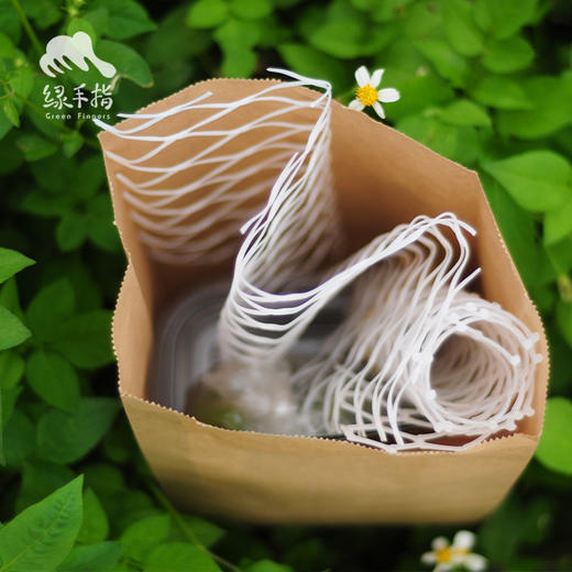 园艺·蚕宝宝饲养套装（桑叶） | 公平贸易 * Silkworm rearing kit | Fair-Trade 商品图4