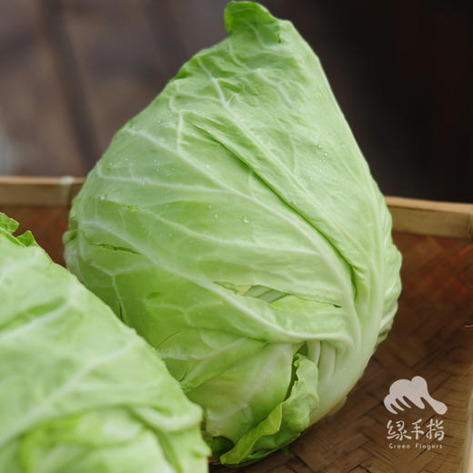 生态牛心甘蓝 | 绿家自产 * Ecological Oxheart Cabbage | In-House Production 商品图4