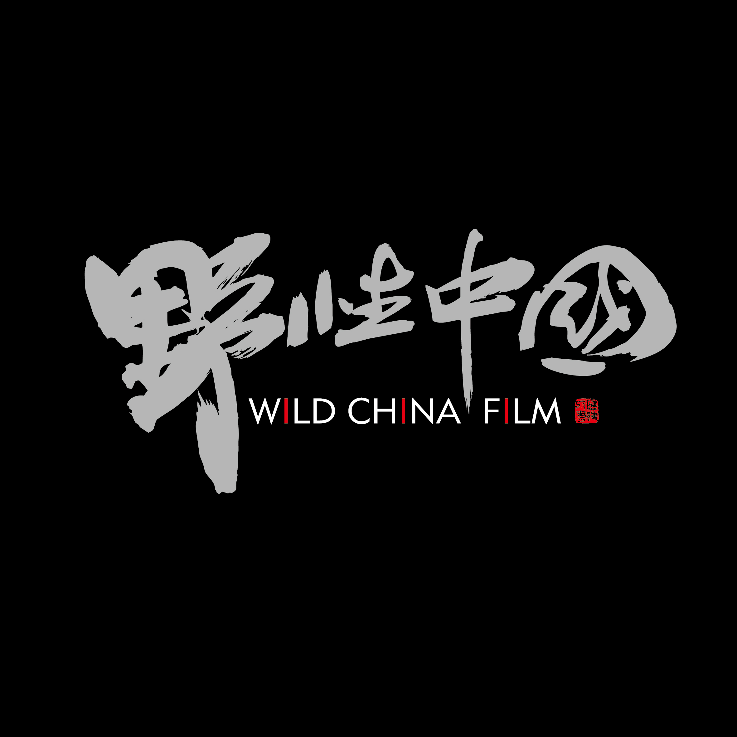 野性中国230513250130