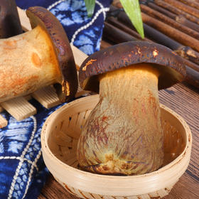 【云南】新鲜黑牛肝菌500g