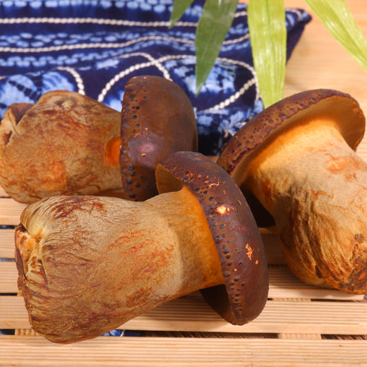 【云南】新鲜黑牛肝菌500g 商品图2