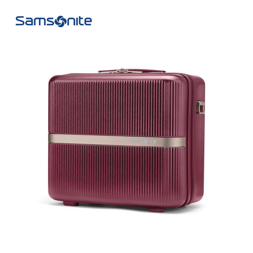 新秀丽MINTER网红摩登小流金箱可肩背迷你PC材质小拉杆箱HH5*005 商品图10