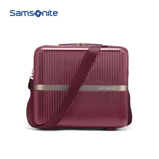 新秀丽MINTER网红摩登小流金箱可肩背迷你PC材质小拉杆箱HH5*005 商品图4