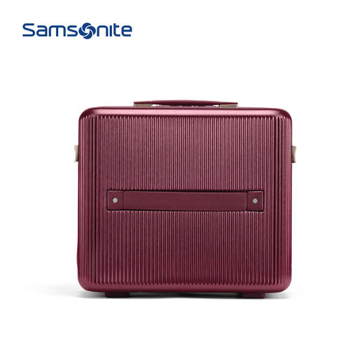 新秀丽MINTER网红摩登小流金箱可肩背迷你PC材质小拉杆箱HH5*005 商品图3