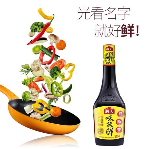 海天味极鲜 商品图0
