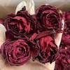 【云南冻干墨红玫瑰花】 冻干墨红花冠茶/ 玫瑰花瓣/ 玫瑰粉/瓶装散称包邮 商品缩略图0