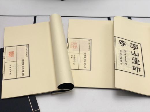 《金石篆刻学典籍丛刊》，李学勤主编，共分金石、篆刻、书志目录、甲骨文字4辑，共16函90册，10000多页，尺寸：210*310mm，安徽人民出版社2017年12月一版一印 商品图13