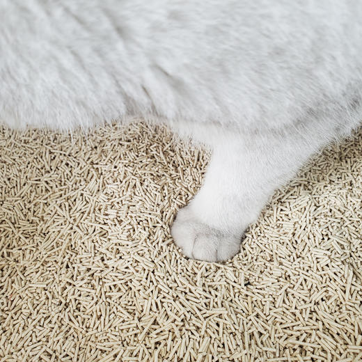 火鲸豆腐猫砂 商品图4