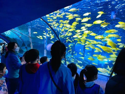 新增“水獭喂食”体验｜暑期新增｜天赋探索营丨小小讲解员 商品图1