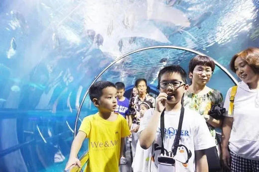 新增“水獭喂食”体验｜暑期新增｜天赋探索营丨小小讲解员 商品图0