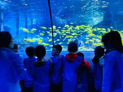 新增“水獭喂食”体验｜暑期新增｜天赋探索营丨小小讲解员 商品图2