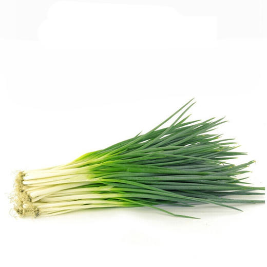 【生鲜预定】小葱 商品图0