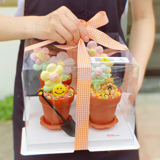 【6.01日仅支持15点以后提货】【限量30份】6.1儿童节 祖国的花朵 · 盆栽蛋糕礼盒 商品图2