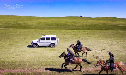 【草原驰骋计划 | 呼伦贝尔 拼团团】B行程：骑士进阶野骑提高营 （七天六晚）8800元起 商品图2