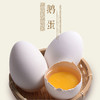 鸡蛋&油鸡蛋初产“小笨蛋”&鹅蛋&卤鸡蛋 商品缩略图4