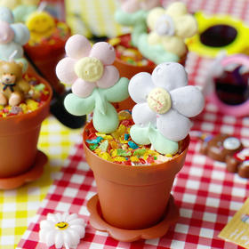 【6.01日仅支持15点以后提货】【限量30份】6.1儿童节 祖国的花朵 · 盆栽蛋糕礼盒