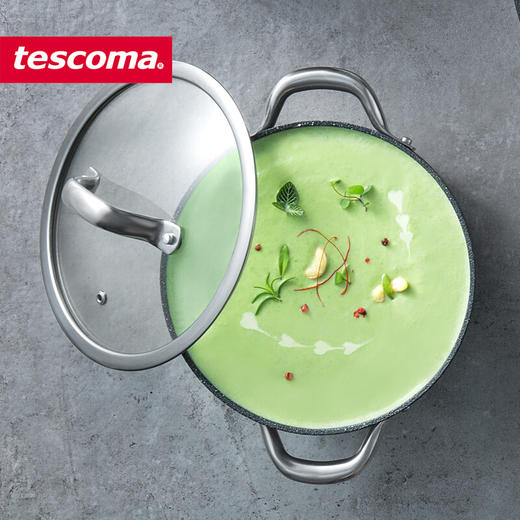 捷克进口/tescoma石面汤锅不粘锅家用双耳煮粥锅电磁炉燃气适用4.5升 商品图4
