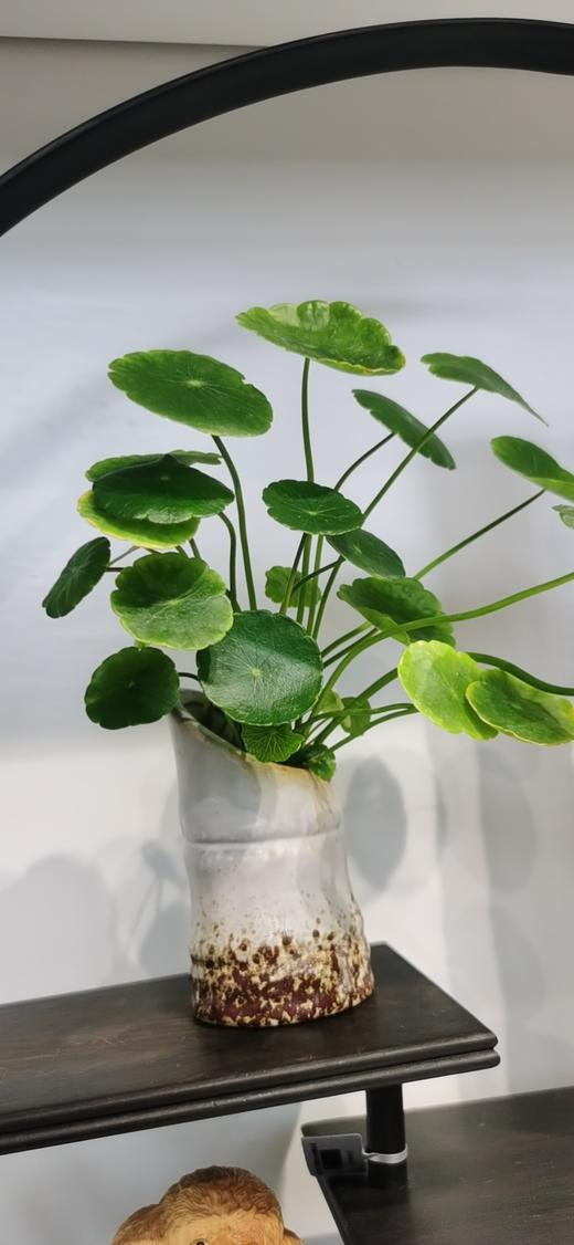 小花器（随机） 商品图1