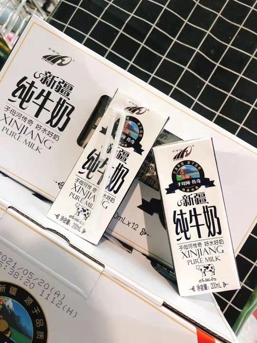 子母河纯牛奶一箱 商品图1