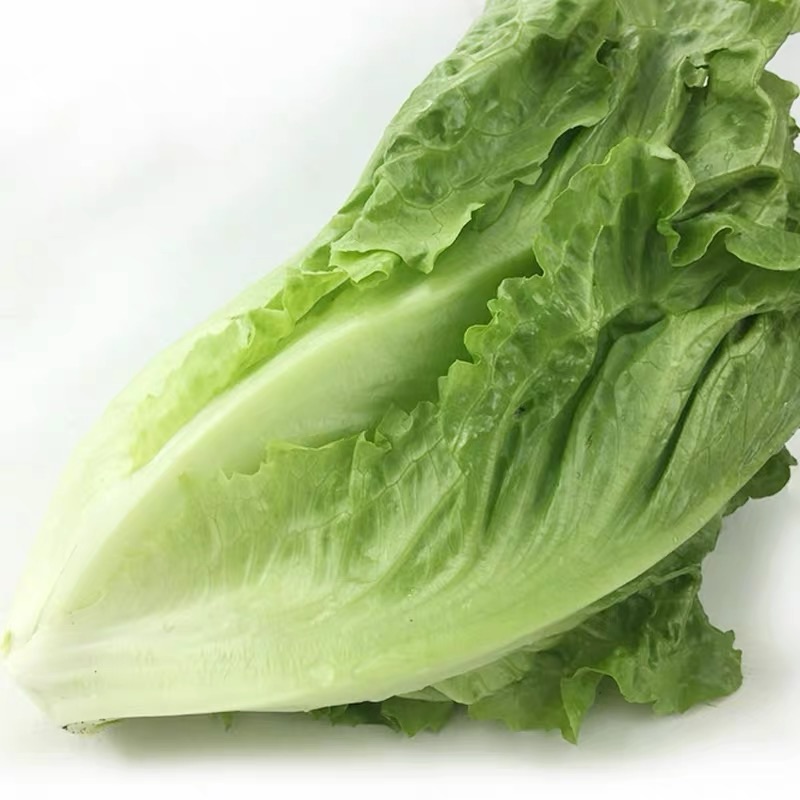 意大利生菜500g｜静物自产