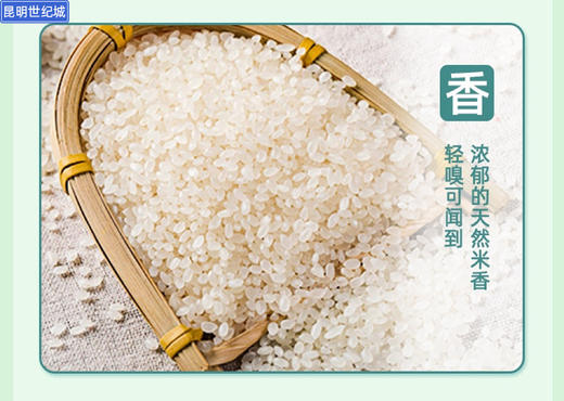 【城心米】【KM】东北生态鸭稻珍珠米5kg/袋 商品图3